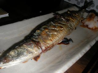 生秋刀魚1号（2008）